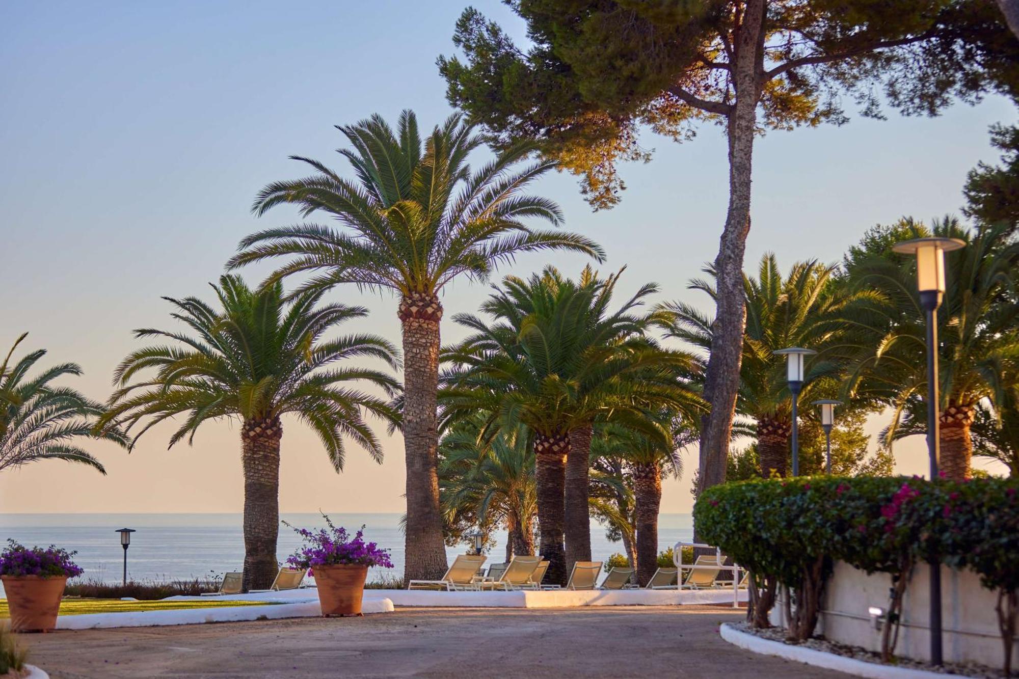 Hilton Mallorca Galatzo ปาเกรา ภายนอก รูปภาพ Palm trees in the resort